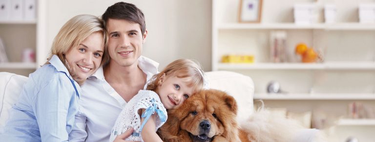 Servicio técnico Miele en Marbella